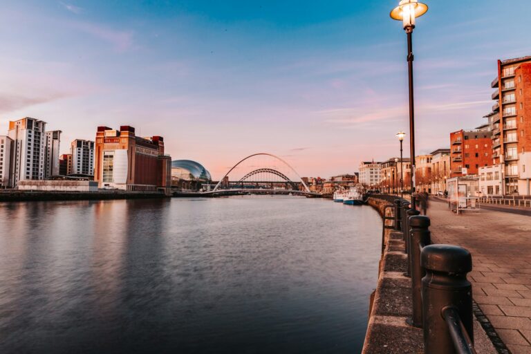 bridge over river near city buildings during night time