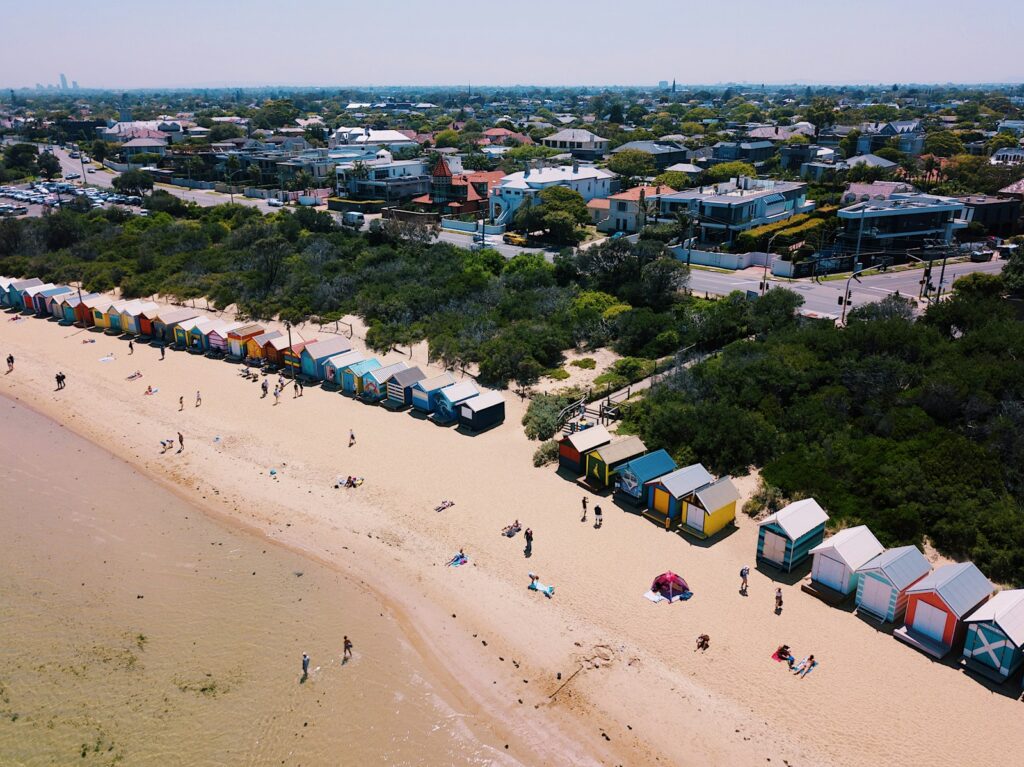 people on beach during daytime